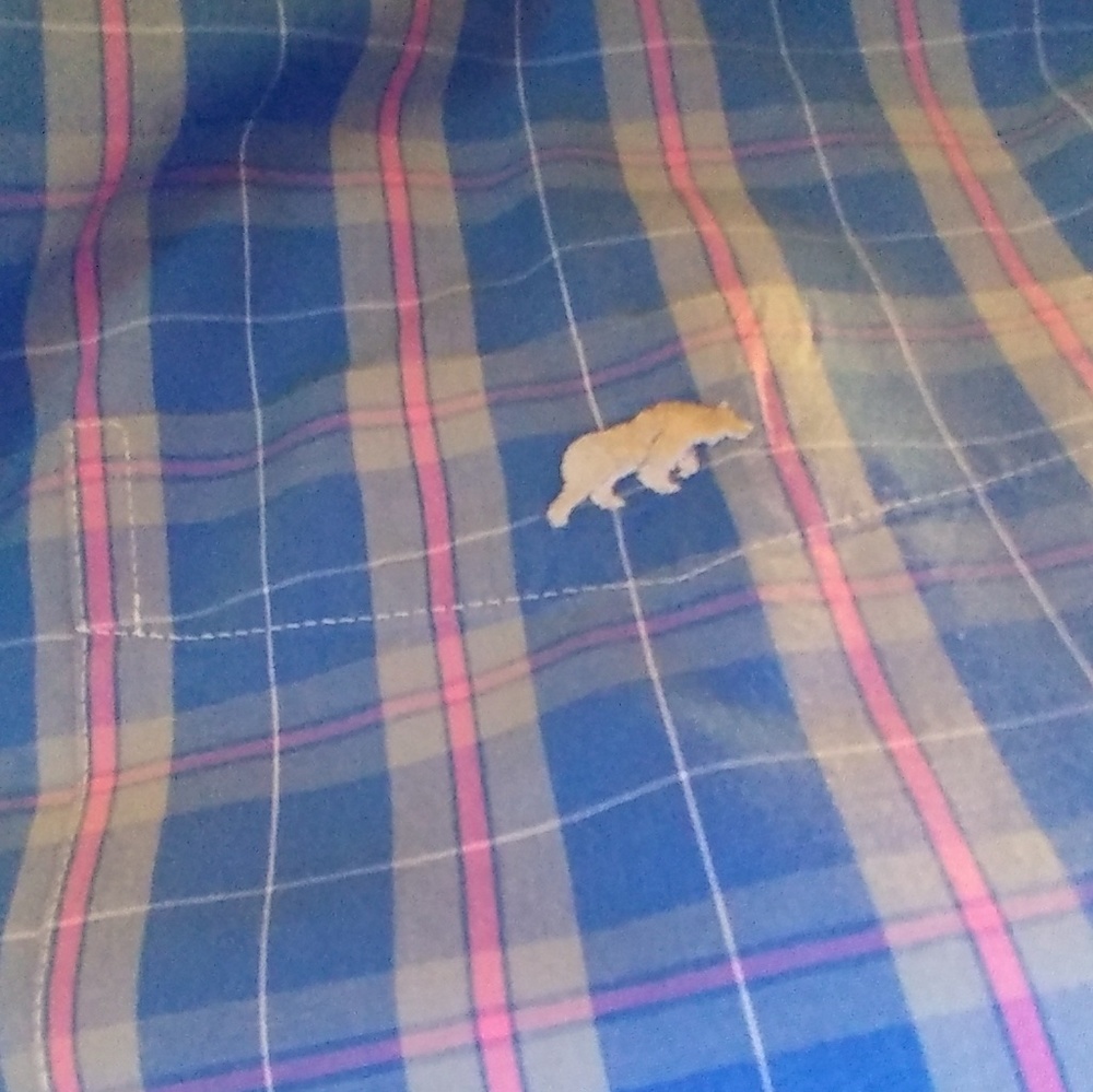 Meet your Posher, James